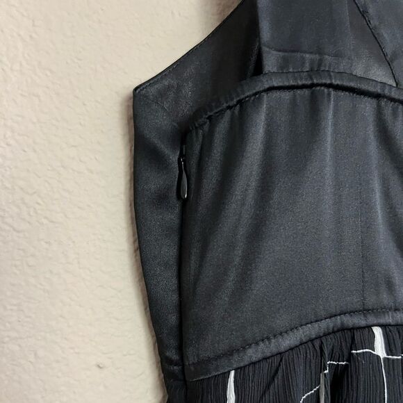 Express Vintage Babydoll Silk and Chiffon Dress - Picture 4 of 10